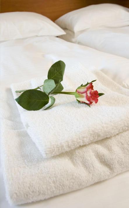 Hotel Boschlust Bergen Ngoại thất bức ảnh